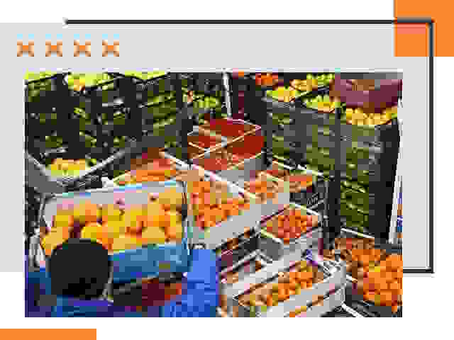 Перевозка скоропортящихся продуктов в Долгопрудном